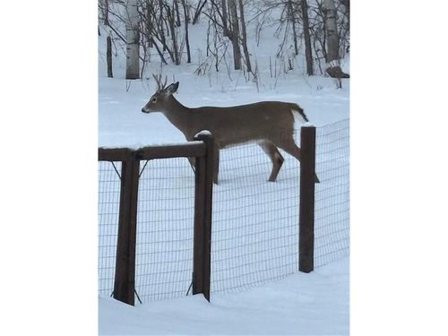 765 Hilltop Ln, Saint Croix Falls, WI, 54024-9437 | Card Image