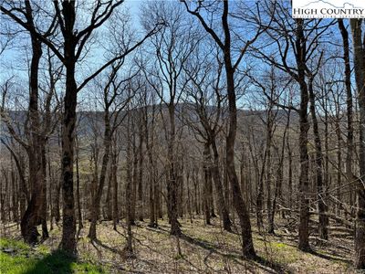 Lot 98 Elk Creek Mountain Parkway, Home with 0 bedrooms, 0 bathrooms and null parking in Todd NC | Image 2