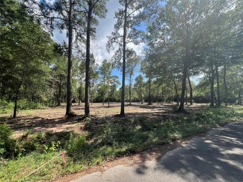 3 Deerwood Dr, Plantersville, TX, 77363 | Card Image