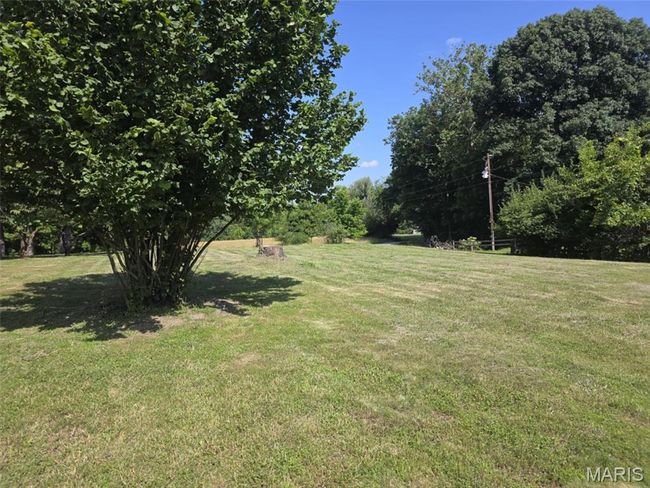 View of grassy yard | Image 17
