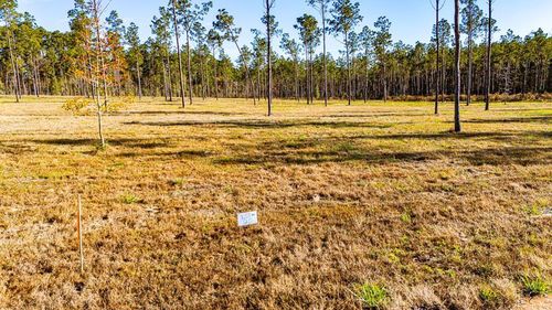 Lot 20 Big Buck Drive, Moscow, TX, 75960 | Card Image