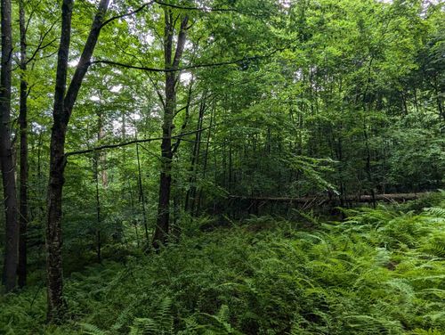 0 Dover Rd, South Newfane, VT, 05351 | Card Image