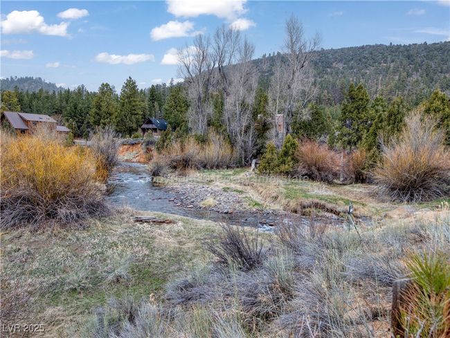 View of local wilderness featuring a wooded view | Image 46