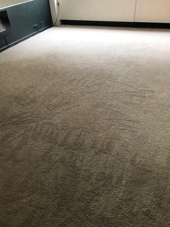 A better picture of the living room carpet. | Image 6