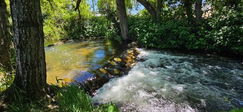 118 Creekside Ct, Murphys, CA, 95247-8801 | Card Image