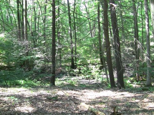 8 Cub Lake Rd, Byram Twp, NJ, 07821-4050 | Card Image