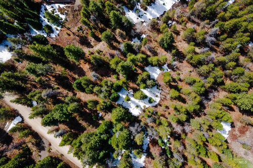 TBD Gamann Dr, Cascade, ID, 83611 | Card Image