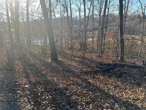 12 Wagon Creek Loop, Creal Springs, IL, 62922 | Card Image