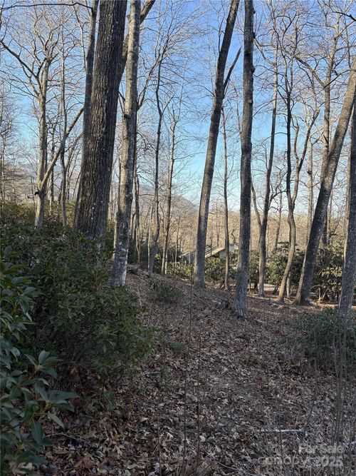 6-000 Fairway Loop, Burnsville, NC, 28714 | Card Image