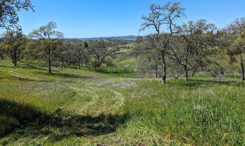 931 Arbolada Dr, La Grange, CA, 95329 | Card Image