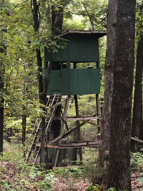 Lot 51-52 Buck Ridge Ln, Williford, AR, 72482 | Card Image