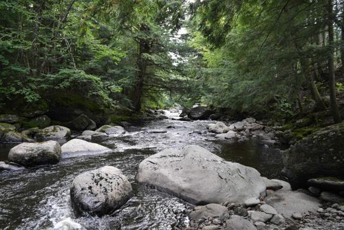 120 Sullys Dr, Belvidere Center, VT, 05442 | Card Image