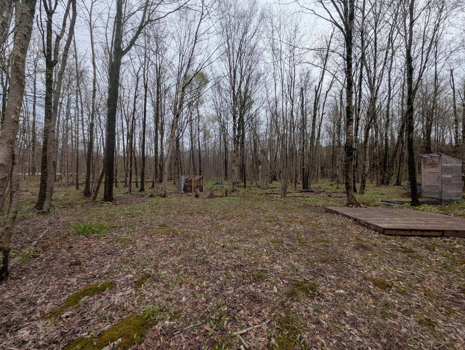 Land in Eastman 5
