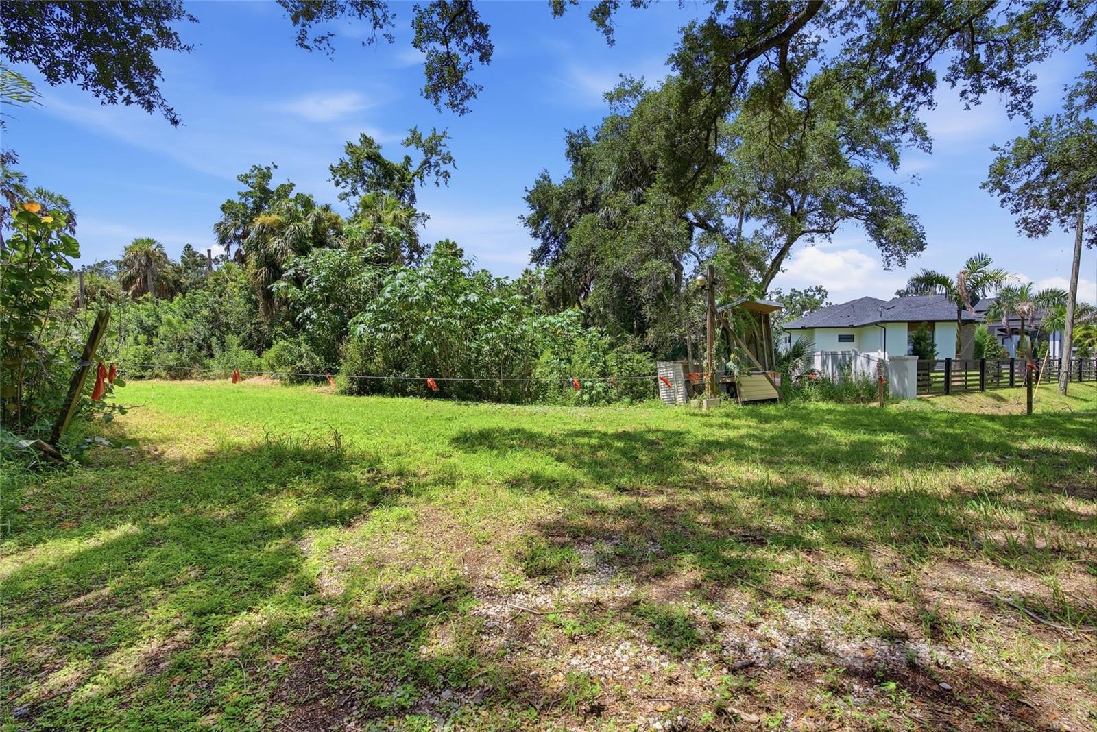 Land in TAMPA 4