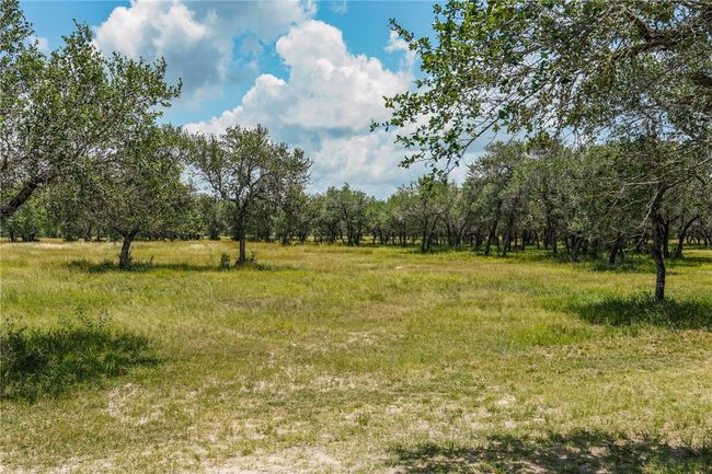130 Old Goliad Rd, House other with 3 bedrooms, 2 bathrooms and null parking in Refugio TX | Image 28