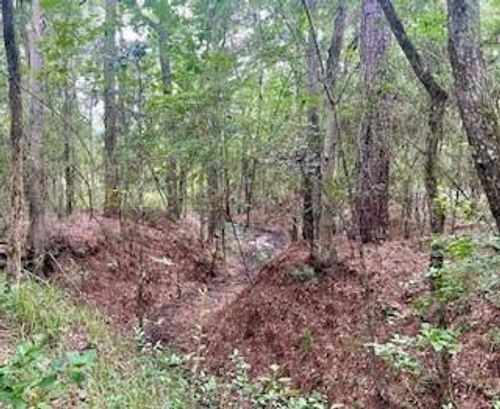 LOT 8 BLOCK 22 Lonestar Rd, Huntsville, TX, 77340 | Card Image