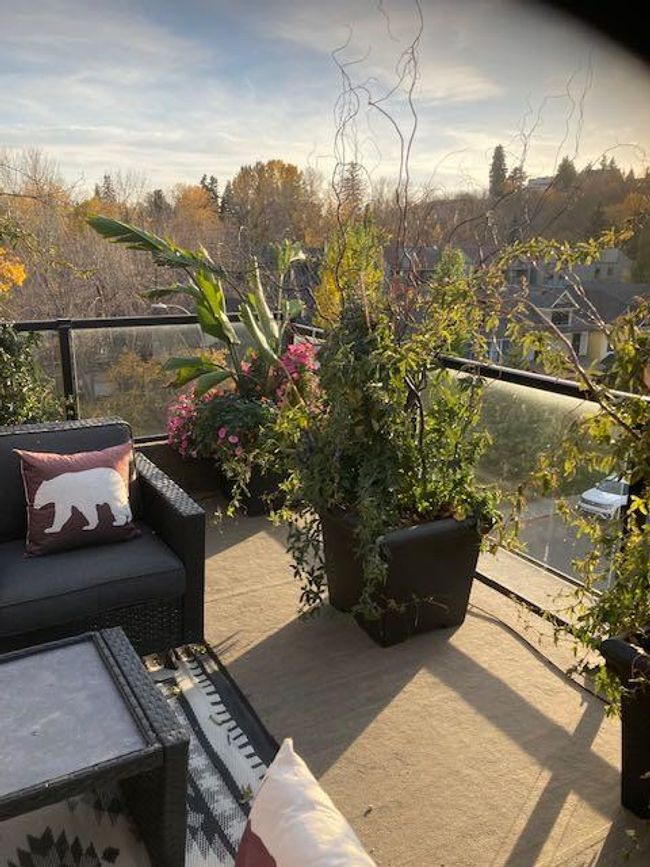 538 23 Ave Sw, Townhouse with 2 bedrooms, 2 bathrooms and 2 parking in Calgary AB | Image 36