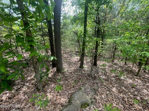 1485 Cowan Ridge Rd, Powell, MO, 65730-9102 | Card Image