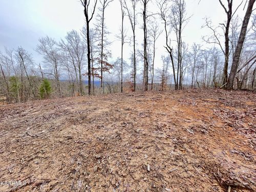 225 Crystal Springs Rd, Rockwood, TN, 37854-5559 | Card Image