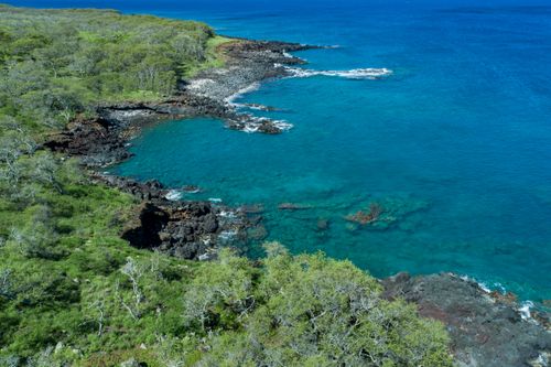 56-101 Pualani, Hawi, HI, 96719 | Card Image