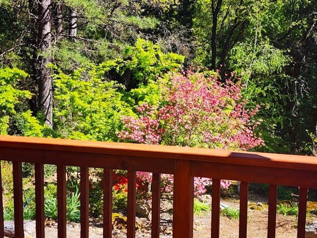 955 Grinding Rock Ct, House other with 3 bedrooms, 2 bathrooms and null parking in West Point CA | Image 65