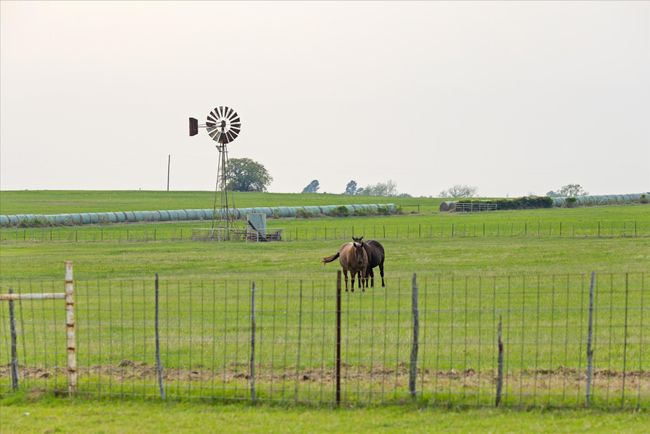 2450 Wood Rd, House other with 5 bedrooms, 3 bathrooms and null parking in Tolar TX | Image 31