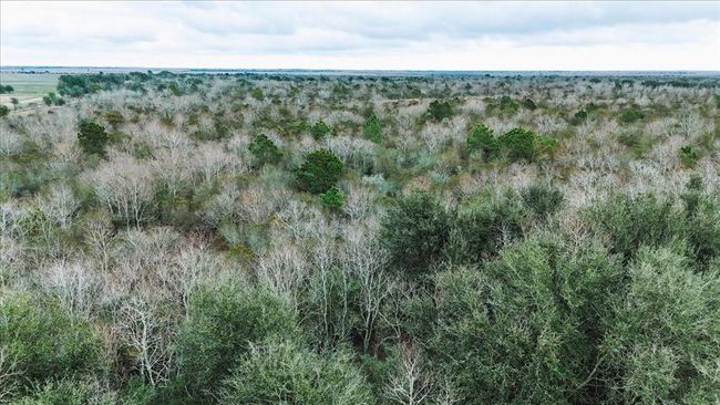 0000 Gulfway Dr, Home with 0 bedrooms, 0 bathrooms and null parking in Stowell TX | Image 19