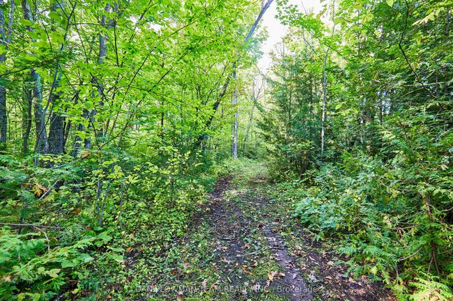 PART 2 County Rd 45, Home with 0 bedrooms, 0 bathrooms and null parking in Hastings ON | Image 6