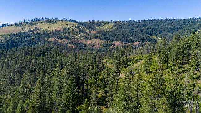 0 Forest Garden Ln, Home with 0 bedrooms, 0 bathrooms and null parking in Weippe ID | Image 20