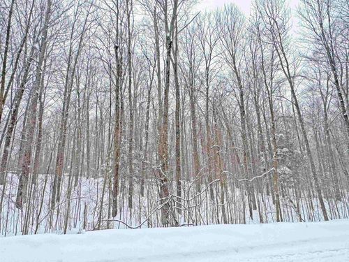 00000 Ryan Rd, Honor, MI, 49640 | Card Image