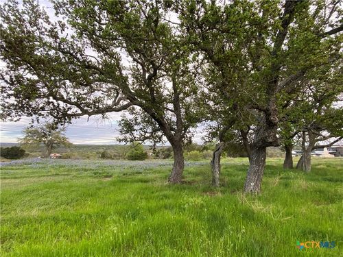 303 S Oak Ln, Burnet, TX, 78611-3035 | Card Image