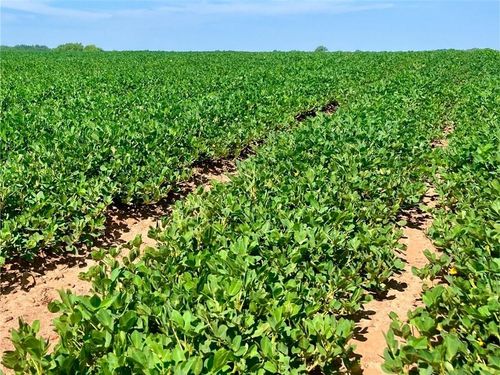 0 Wayside Rd, Atmore, AL, 36502 | Card Image