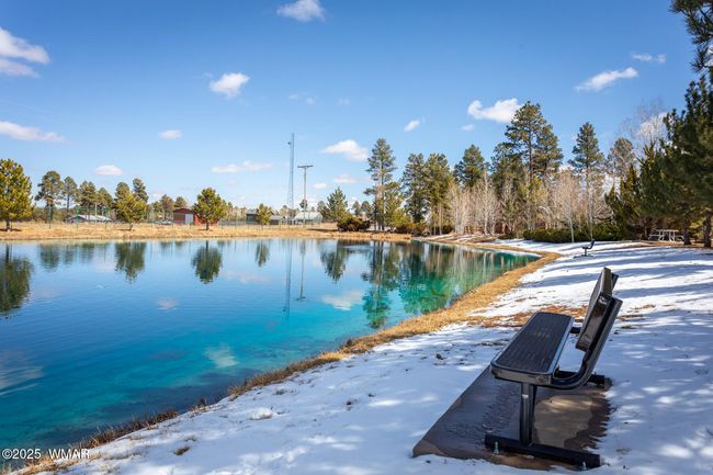 X_Pinecrest_02 | Image 22