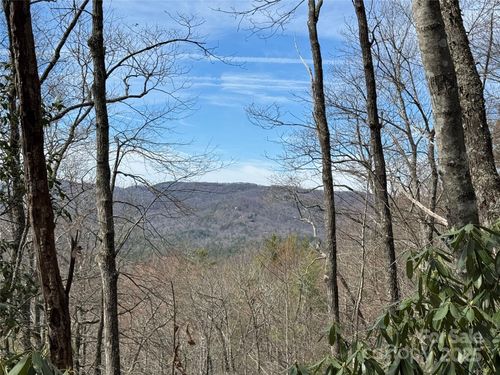 L2 Windy Gap Ln, Sapphire, NC, 28774 | Card Image
