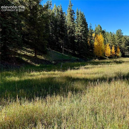 535 Willow Rd, Divide, CO, 80814-8917 | Card Image
