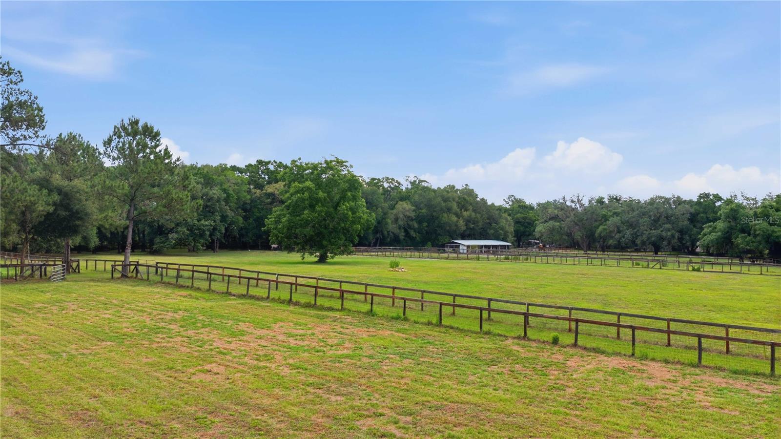 Land in OCALA 4