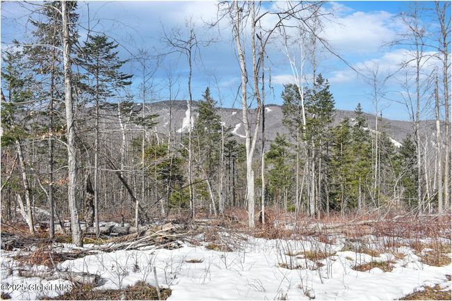 48 Durkin Rd, Home with 0 bedrooms, 0 bathrooms and null parking in North Creek NY | Image 13