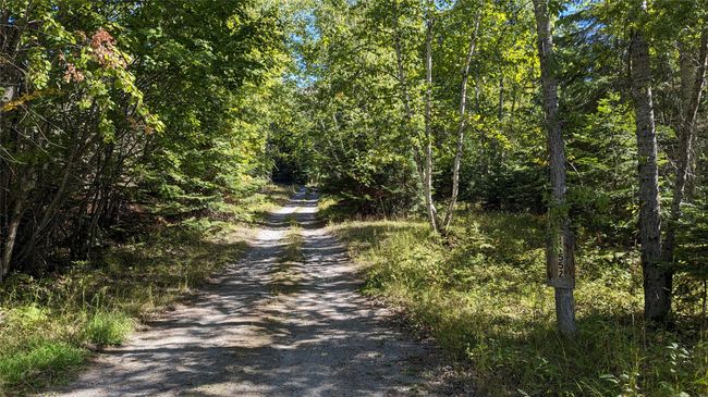 Driveway In | Image 13