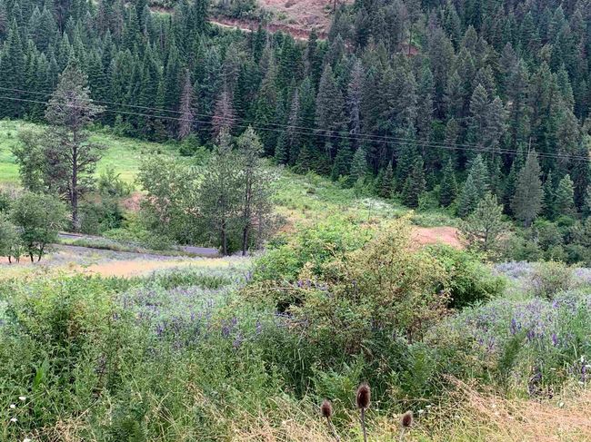 624 Clearcreek Rd, House other with 4 bedrooms, 2 bathrooms and null parking in Kooskia ID | Image 37