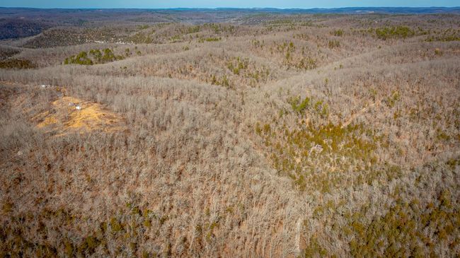 00 Bear Skin Dr, Home with 0 bedrooms, 0 bathrooms and null parking in Harriet AR | Image 27