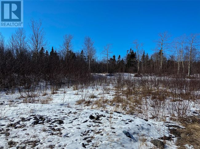 5 A Allen's Ave, House other with 4 bedrooms, 2 bathrooms and null parking in Embree NL | Image 24