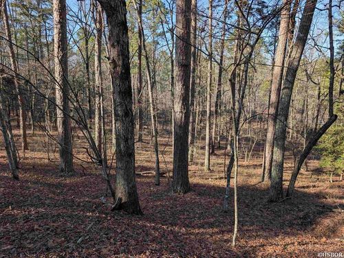 30 Montijo Way, Hot Springs Village, AR, 71909 | Card Image