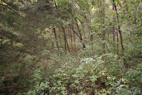 4.65 +/- Acres Pendleton Lost Creek Road, Warrenton, MO, 63383 | Card Image
