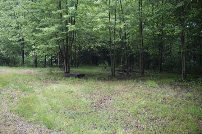 13151 Tuttlehill Rd, Home with 0 bedrooms, 0 bathrooms and null parking in Milan MI | Image 9