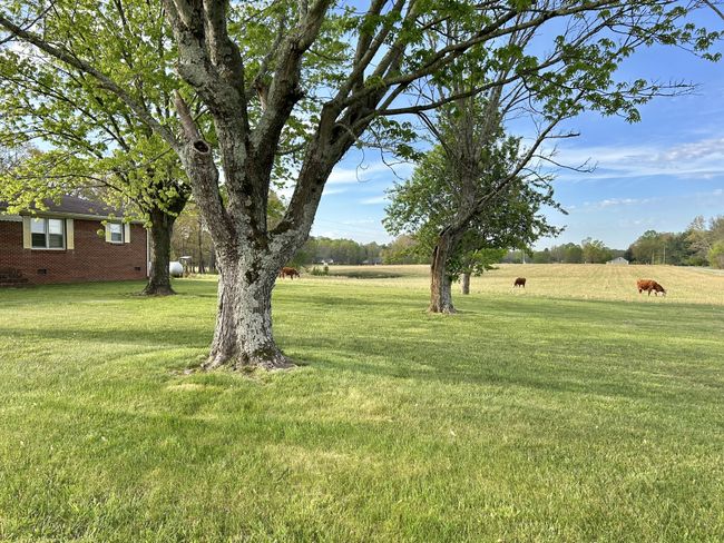 1110 Pomroy Rd, House other with 3 bedrooms, 2 bathrooms and 2 parking in Manchester TN | Image 8