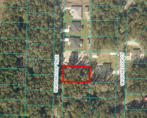 17 Sequoia Trce, Ocklawaha, FL, 32179 | Card Image