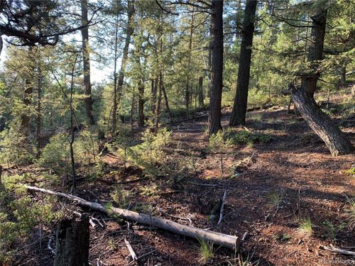 12907 S Cindy Ave, Pine, CO, 80470 | Card Image
