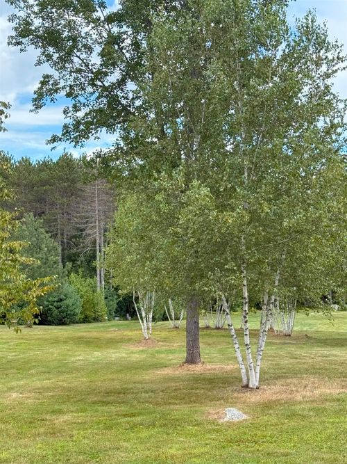 40-0 Warner Rd, Warner, NH, 03278 | Card Image