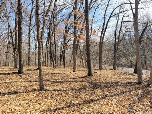 Lot 6 Big Lake Dr, Osceola, WI, 54020 | Card Image