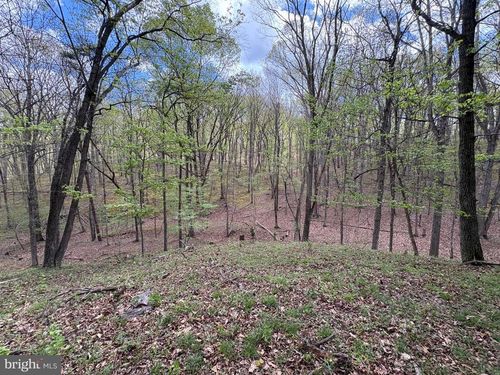 15.02 AC Beam Road, ROMNEY, WV, 26757 | Card Image
